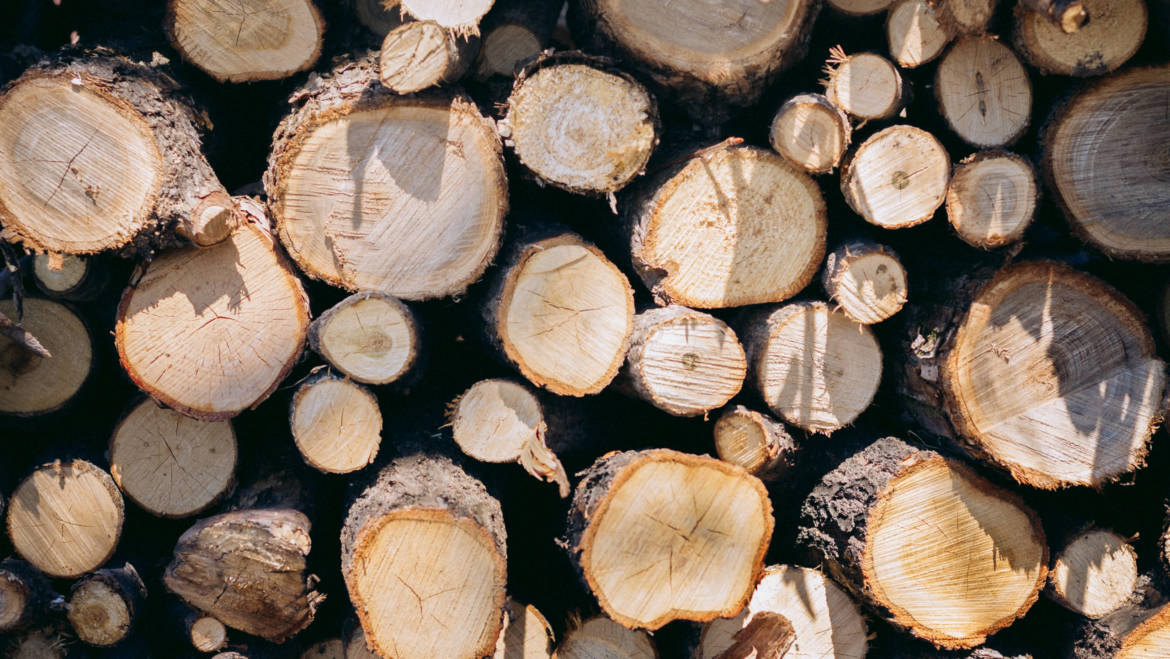Timber Purchasing